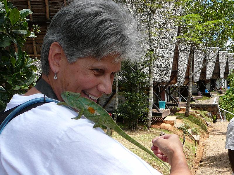 006 Connie and our first chameleon